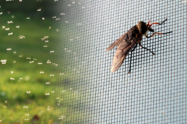 Москитные сетки